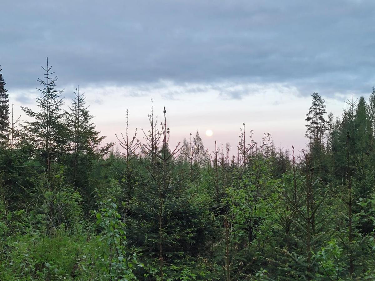 Vaelituvan Lomamoekit Punkaharju Luaran gambar