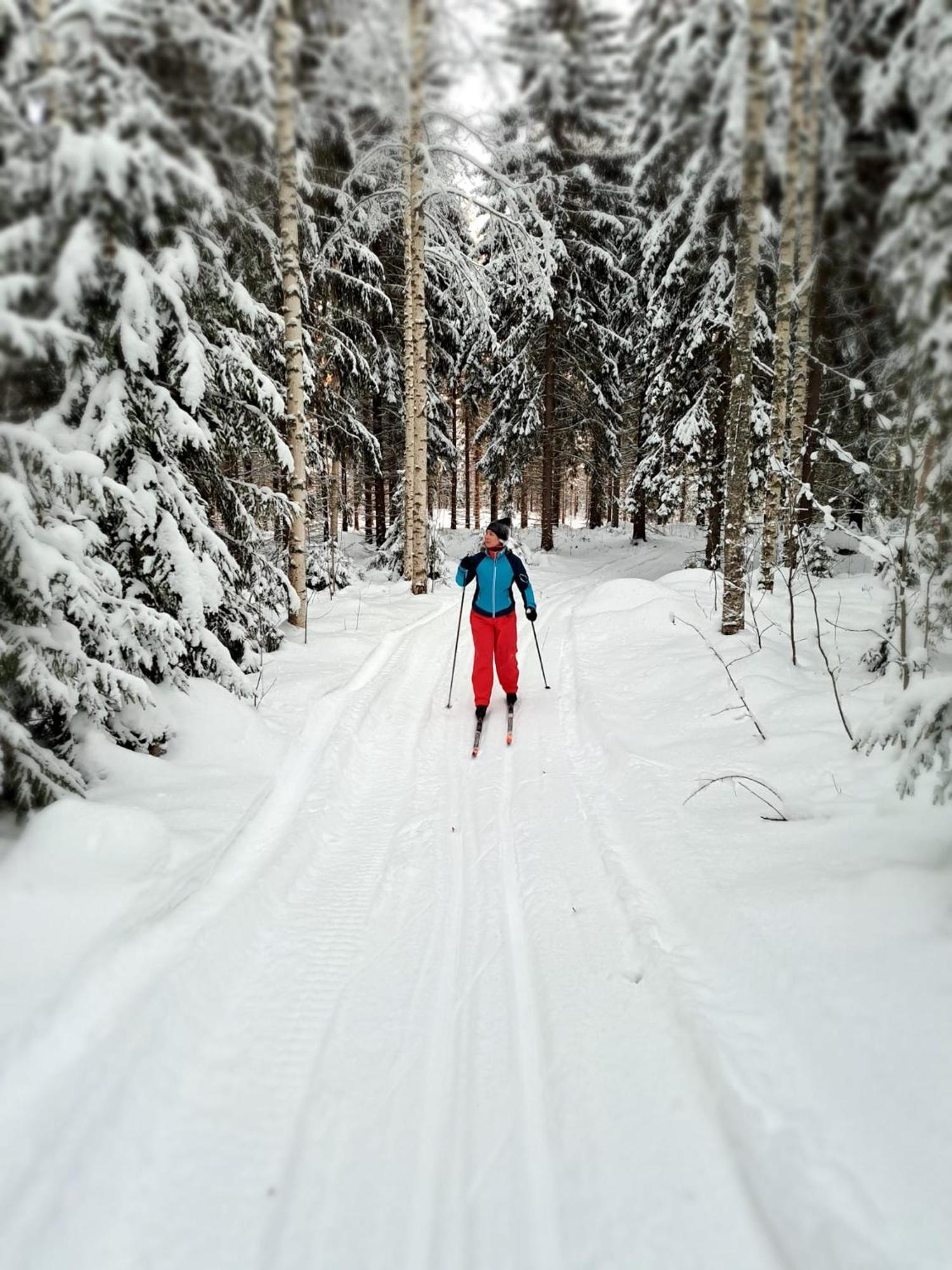 Vaelituvan Lomamoekit Punkaharju Luaran gambar
